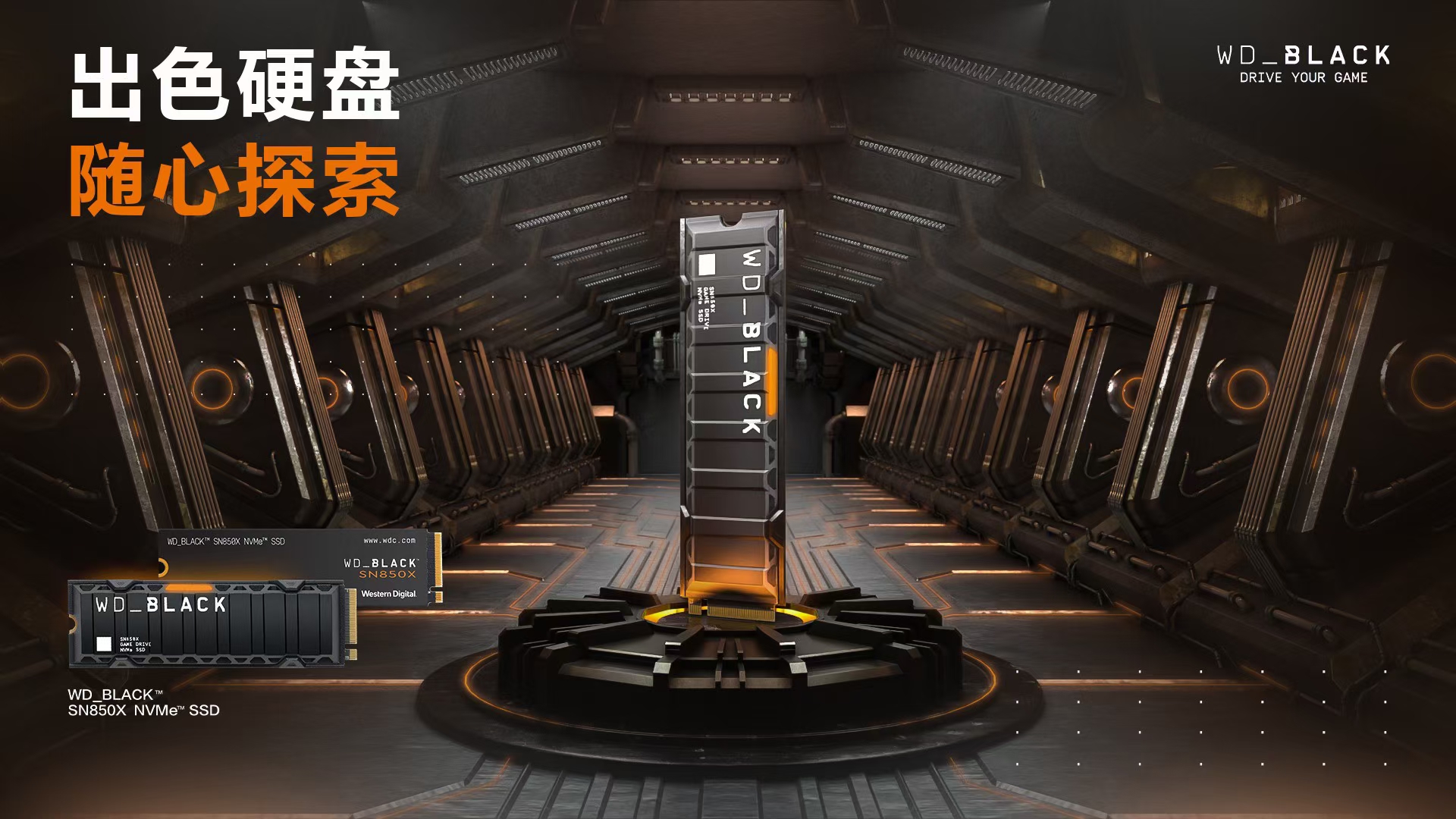 雷蛇西部数据活动主题